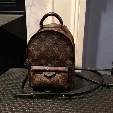 Louis Vuitton palm springs mini